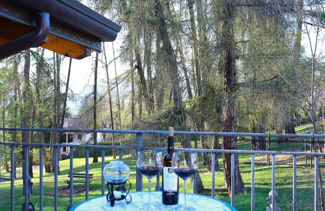 hotel Parco Pineta-1